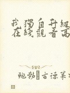 我独自升级动漫在线观看高清