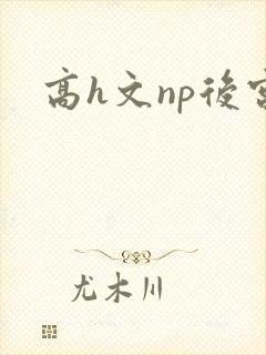 高h文np后宫