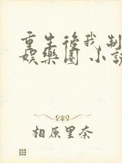 重生后我制霸了娱乐圈 小说
