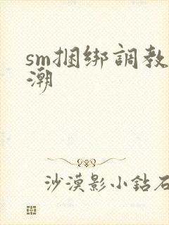 sm捆绑调教高潮