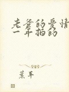 老爸的爱情是哪一年拍的