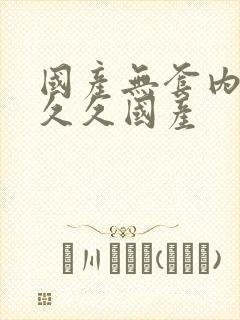 国产无套内射久久久国产