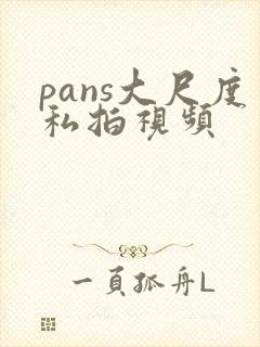 pans大尺度私拍视频封面