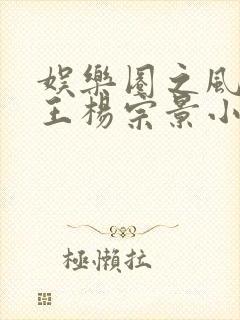娱乐圈之风流帝王杨宗景小说