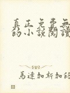 真正免费无广告的小说阅读软件