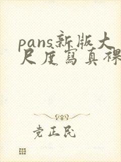 pans新版大尺度写真裸模私拍视频在线