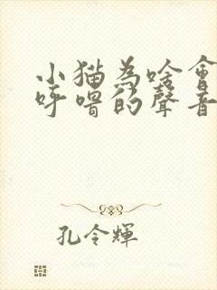 小猫为啥会发出呼噜的声音封面
