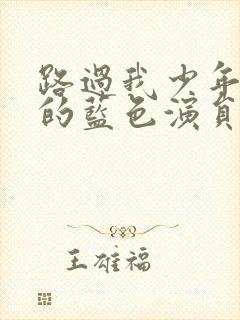 路过我少年时光的蓝色演员表封面