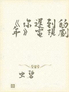 《你迟到的许多年》电视剧封面