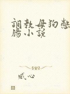 调教母狗憋尿灌肠小说封面