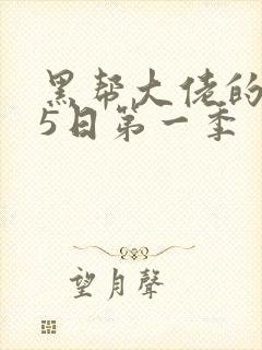 黑帮大佬的365日第一季