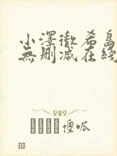 小泽彻希岛爱理无删减在线播放封面