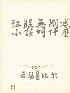 征服无删减原著小说叫什么封面
