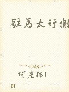 驻马太行侧