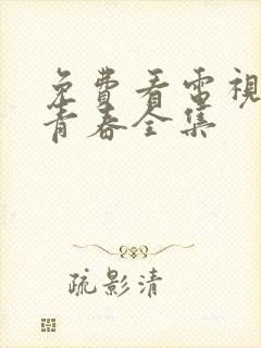 免费看电视剧正青春全集