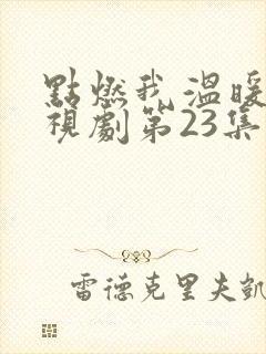 点燃我温暖你电视剧第23集