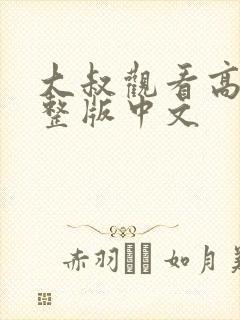大叔观看高清完整版中文封面