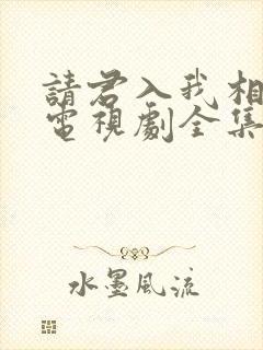 请君入我相思局电视剧全集
