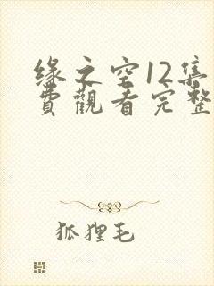 缘之空12集免费观看完整