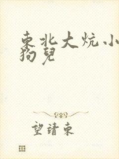 东北大炕小说 狗儿