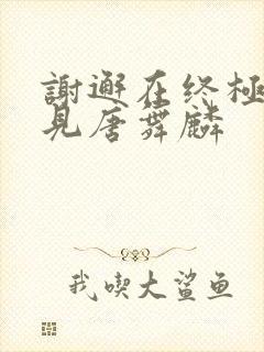 谢邂在终极斗罗见唐舞麟