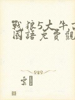 战狼5大牛高清国语免费观看