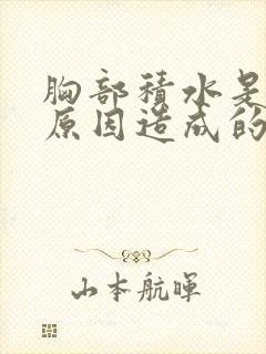 胸部积水是什么原因造成的怎么治疗