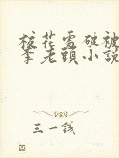 校花处破被灌满李老头小说