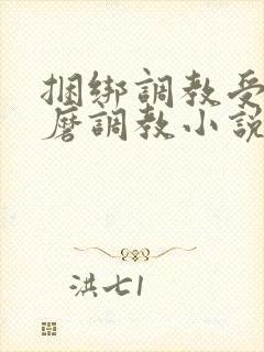 捆绑调教受虐折磨调教小说封面
