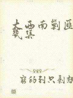 大西南剿匪记共几集