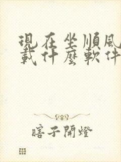 现在坐顺风车下载什么软件