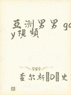 亚洲男男 gay视频