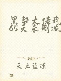 黑帮大佬我的365天未删减版封面