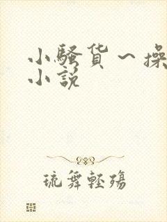 小骚货～操死你小说