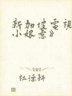 新加坡电视剧《小娘惹》封面
