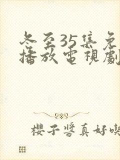 冬至35集免费播放电视剧