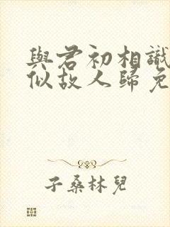 与君初相识·恰似故人归免费观看封面
