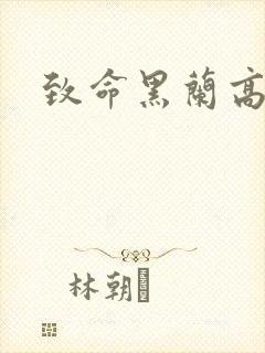 致命黑兰高清封面