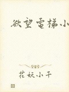 欲望电梯小说封面