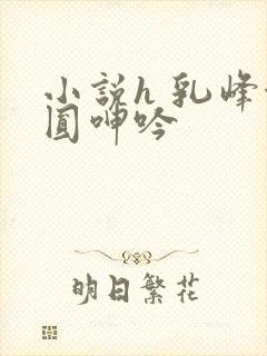 小说h 乳峰浑圆呻吟