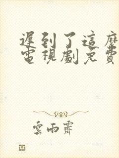 迟到了这么多年电视剧免费观看在线全集