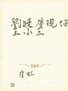 刘晓庆现任丈夫王小玉封面