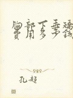 胸部下垂矫正术费用多少钱