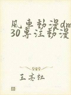 风车动漫dm530专注动漫的门户网站
