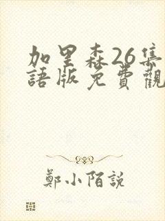 加里森26集国语版免费观看高清