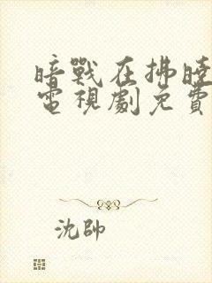 暗战在拂晓之前电视剧免费