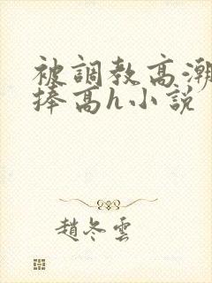 被调教高潮震动捧高h小说