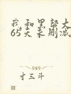 我和黑帮大佬365天未删减版封面