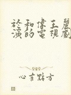 于和伟王丽坤主演的电视剧