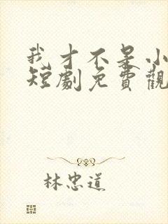 我才不是小可怜短剧免费观看全集